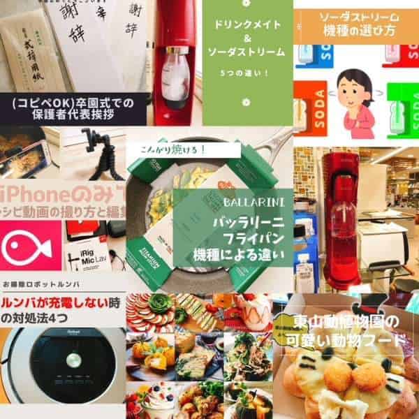 雑記ブログ2021年ベストナイン