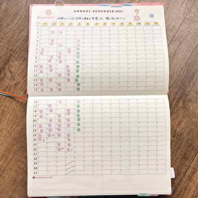 force手帳 ANNUAL SCHEDULE