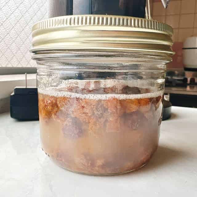 自家製レーズン酵母の作成