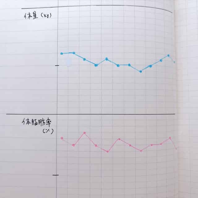 体重・体脂肪グラフのサンプル