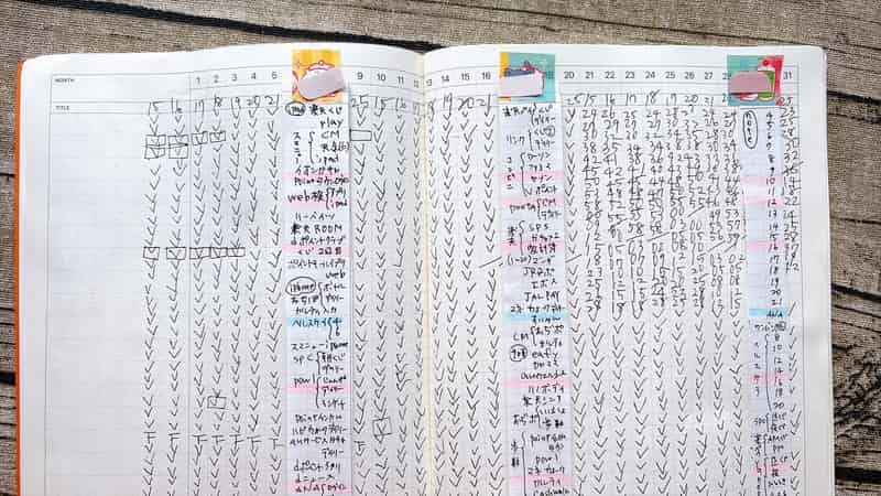 見開きを3つに分けて11日分として使う場合の最終日