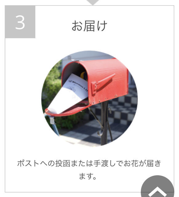 f:id:misumisu0722:20181108063704j:plain