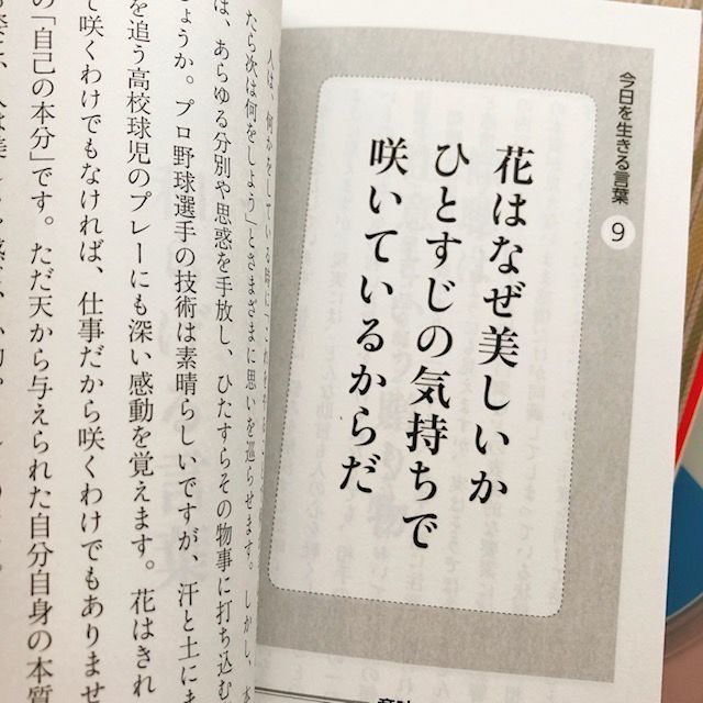 f:id:misumisu0722:20191126161532j:plain